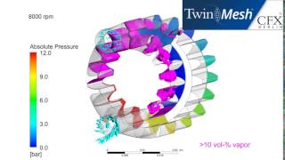 CFX Berlin-Video: Internal Gear Pump Cavitation at 8000rpm