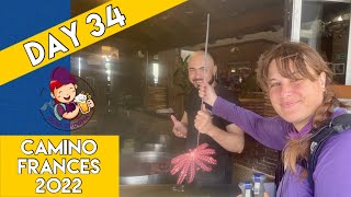 Day 34- Camino Frances 2022 | Melide Breakfast Beer & Tasty Pulpo with Rolling Hills to Arzua