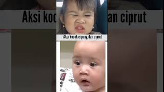 tingkah lucu cikung dan ciprut!!!#shorts #rafiahmad #lucu #meme