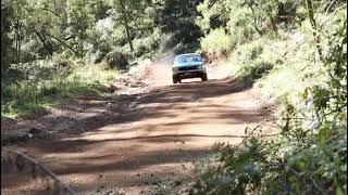 TORANA RALLY CAR