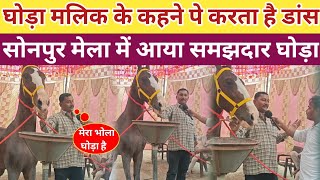 घोड़ा मलिक के कहने पे करता है डांस सोनपुर मेला में आया समझदार घोड़ा | Sonpur Mela Ghora Bazar Sonpur