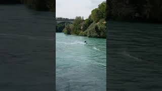 Aare Bern, ❤️😊❤️Switzerland #schweiz #bern #nature