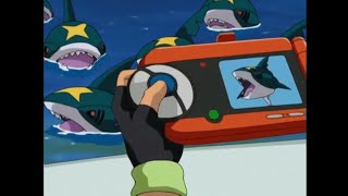 Sharpedo Pokédex Entry..wmv