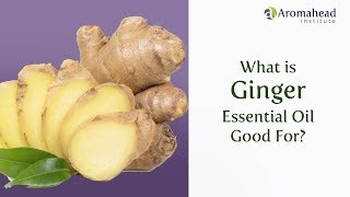 What is Ginger Essential Oil Good For?