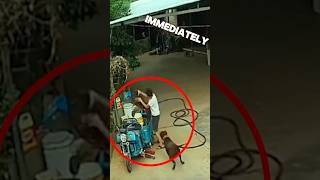 Man Saves Puppy From Vicious Dog