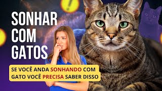 CUIDADO ao sonhar com GATOS isso é um sinal