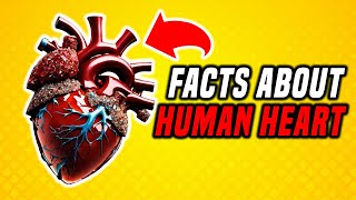 SURPRISING FACTS ABOUT THE HUMAN HEART