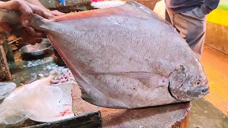 Big Black Pomfret Fish Cutting Skills Live | Fresh Fish Cutting Skills