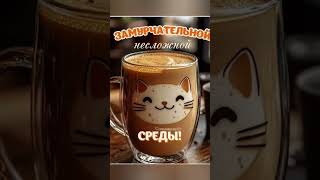 Замурчательной среды!#доброеутро #позитив #котики