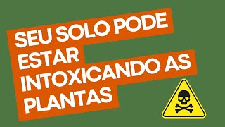 Seu solo pode estar intoxicando suas plantas