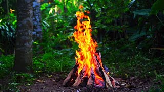 4K UHD Campfire by the River - 3 Hours of Tranquil Nature Ambience and Crackling Fire