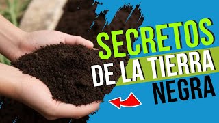 🌎 ¡HAZLO TÚ MISMO! Haz tu propia TIERRA NEGRA en CASA | PASO a PASO 🔄 COMPOST