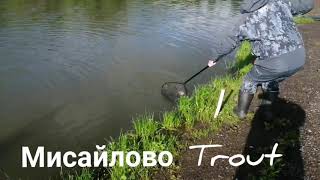 Мисайлово Trout. Хорошие моменты