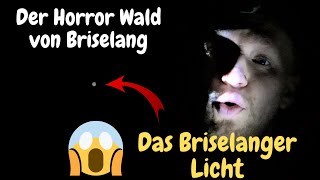 Der Brieselanger Wald | Wir haben das Licht gesehen?! 😱 (VLOG)