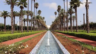 Morocco Day 2 | Walking Tour of Casablanca (G Adventures)