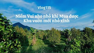 #115| Chia sẻ Niềm vui nho nhỏ khi Mua được khu vườn mới nhỏ xinh| Bỏ phố về rừng