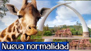 nueva normalidad en zoológico de León 2020🦁visita en automóvil en tiempos de COVID ¿Vale la pena?