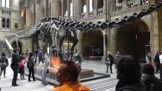 London - Natural History Museum and Science Museum