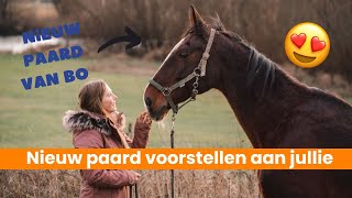 Mijn nieuwe paard voorstellen & bijkletsen 🧡 | EPPLEJECK