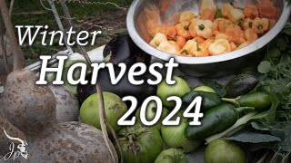 Winter Harvest 2024