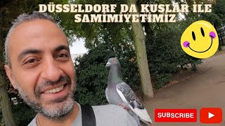 Almanya Düsseldorf da bir Park da Basima gelen Tatli süpriz(Düsseldorf-2)