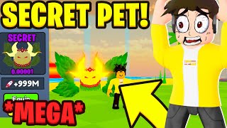 ZDOBYŁEM NOWEGO SEKRETA W FLY RACE! *MEGA PET* | ROBLOX