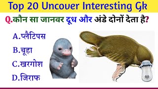 Gk Questions and Answers In Hindi|| Important Gk And Quiz|| Majedar Gk Quiz||BKP GK STUDY||