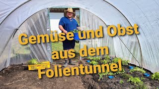 Folientunnel Teil 1 – was kann ich Alles anbauen