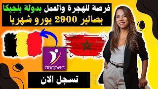 فرصة للهجرة و العمل في 🔴دولة بلجيكا 💲بصالير 2900 يورو شهريا 🚨دكور واناث✅عقد عمل دائم