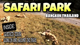 Inside Safari Park in Bangkok | Driving in and around the Park