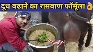 दूध बढ़ाने का रामबाण देसी फॉर्मूला👌|Doodh bdhane ka tarika|/upay| How to increase cow/buffalo milk