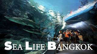 SEA LIFE Bangkok Ocean World Siam Paragon Aquarium