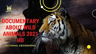 Animal Documentary 2021 Nature Wildlife Animals 2021 HD