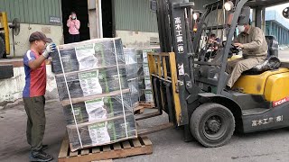 Nhập hơn 100 Pallet Animal Traps vào kho | Hải Phòng Logistics.