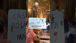 LASCIA UNA ROSA PER LA MADONNA #maria #shorts