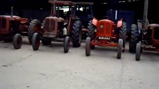 Nuffield tractors lined up...