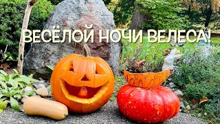 Велесова Ночь / Канун Всех Святых/ Хэллоуин/.  Halloween 🎃