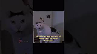 معاناة مهندسين الكهرباء :