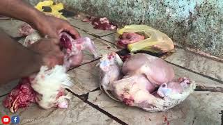 Farm Chicken Cutting Muslim Style | Live Chicken Cutting Skills Fast | How to Cut Up a Whole Chicken