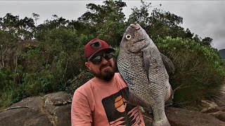 É NESSA HORA QUE O CORAÇÃO DO PESCADOR DISPARA! FOI SÓ TROCAR A ISCA QUE VEIO O 🏆🏆🏆MONSTRO!