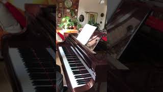 JS Bach. Prelude no 1