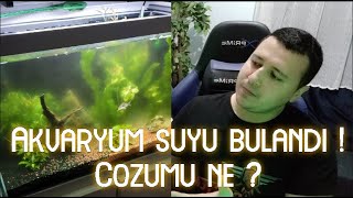 Akvaryum Suyu Bulandı ! Neden Oldu  ? Çözümü Ne ?