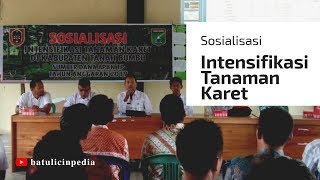 Sosialisasi Intensifikasi Tanaman Karet 2019