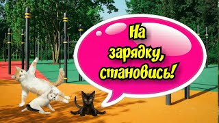 На зарядку, становись! #ЛАРАзвезДА