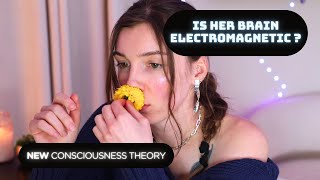 What is Consciousness? Consciousness Electromagnetic Information Theory