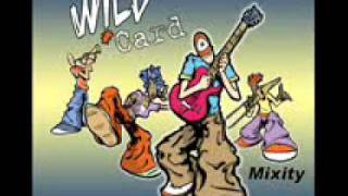 Wild Card - Ze Effra Groove