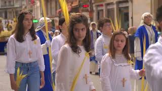 Procesión de "La Burrica" Domingo de Ramos en Teruel 2024