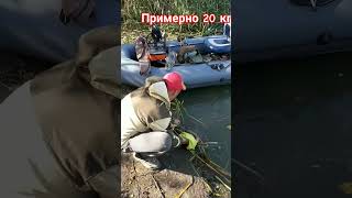 Выпустили 10,000 рублей в воду.