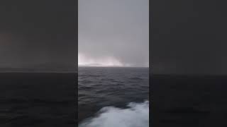 Ballenas y orcas en Noruega