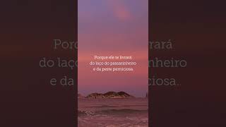 Habitar no esconderijo do Altíssimo fortalece nossa fé e nos lembra de confiar plenamente n’Ele.